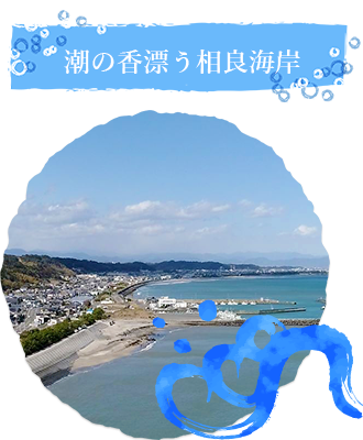 潮の香漂う相良海岸